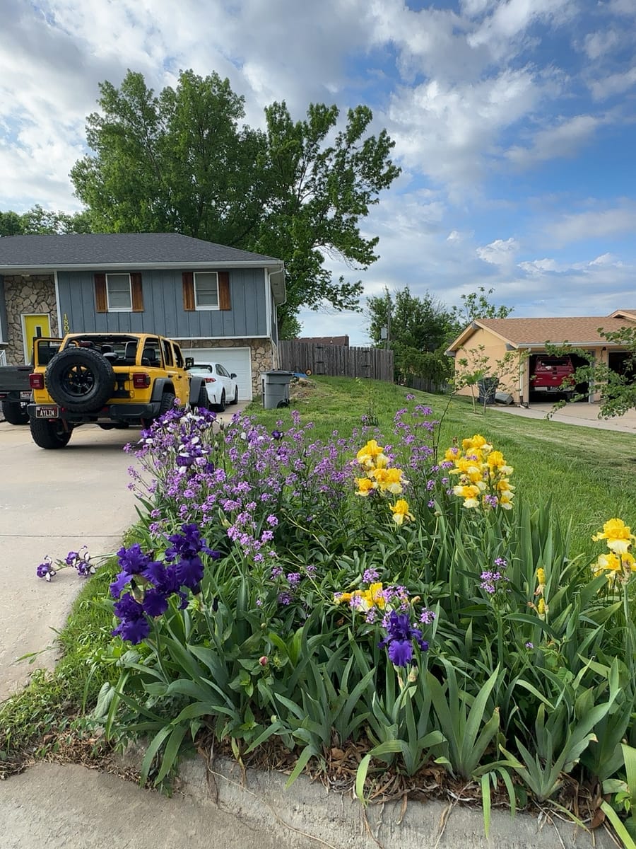 At my house when the weather gets warmer the flowers start showing up. you can also see our Jeep in the back.